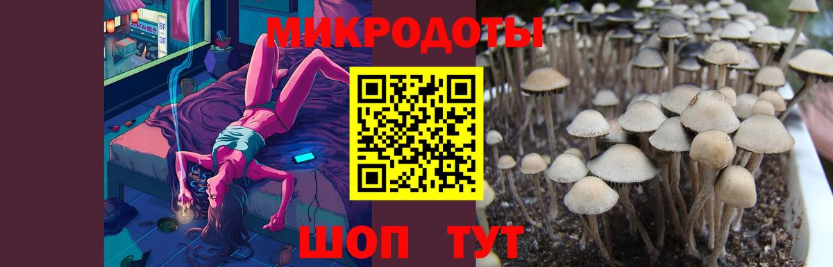 Ярцево  Галлюциногенные грибы Magic Shrooms  Вход с VPN 